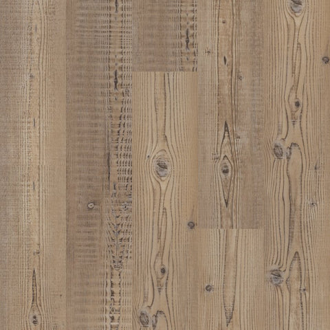 Shaw Anvil Plus 20 Accent Pine Swatch