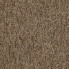 Shaw Carpet Tile No Limits Tile Achievement Swatch
