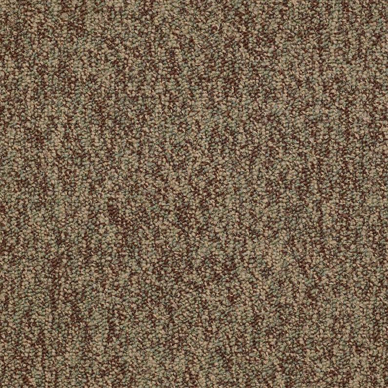 Shaw Carpet Tile No Limits Tile Achievement