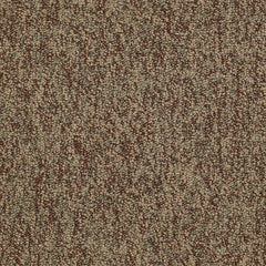 Shaw Carpet Tile No Limits Tile Achievement Swatch