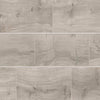 Daltile Acreage Plank 8"x48" Reserve