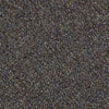 Shaw Carpet Tile Change In Attitude Tile Adrenaline Rush Swatch