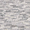 MSI Ledgestone Veneer - Alaska Gray Panel  Swatch