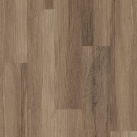 Shaw Endura 512C Plus Almond Oak Swatch