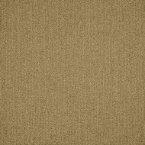 Shaw Carpet Tile Color Accents Aloe Swatch
