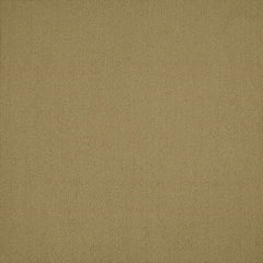 Shaw Carpet Tile Color Accents Aloe Swatch