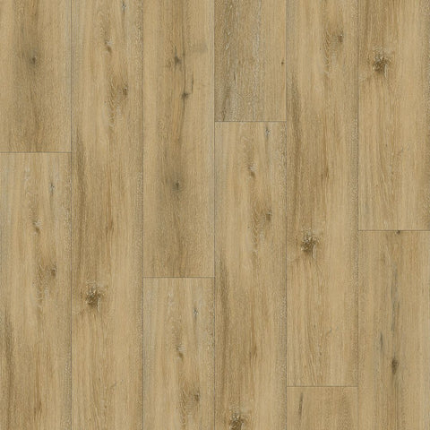 Paramount Bliss 5.0 Looselay Andrusia Sample