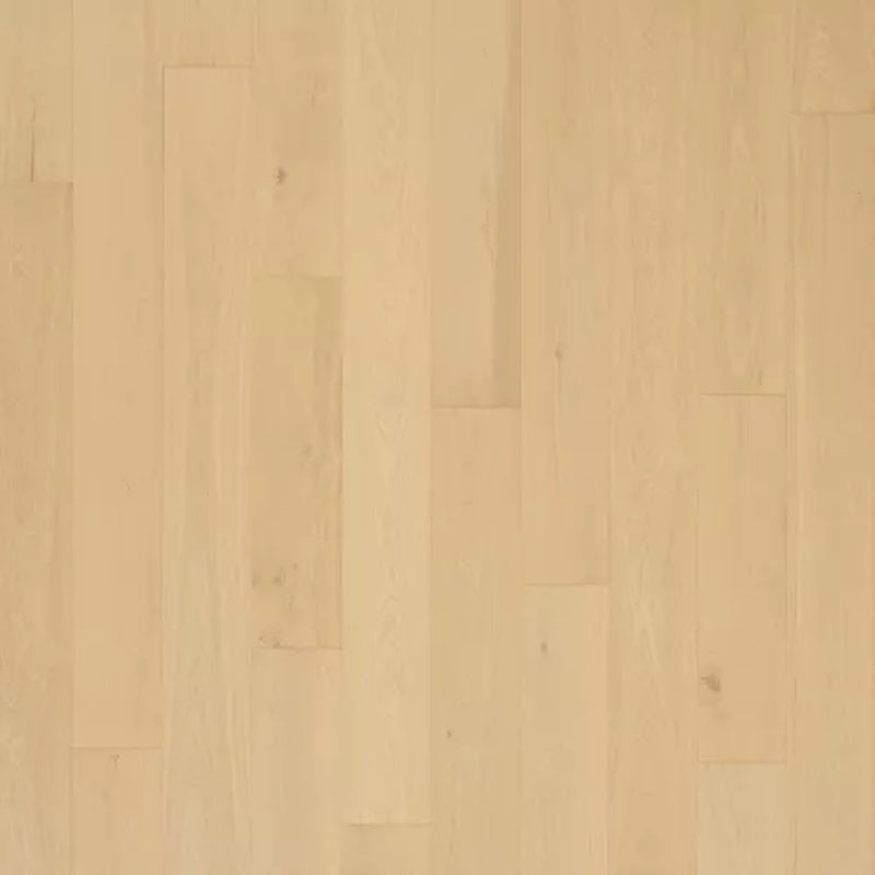 Mohawk Madera Trace Antiqued Plaster Oak