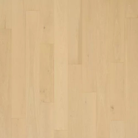 Mohawk Madera Trace Antiqued Plaster Oak