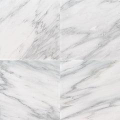 Marble Tile Collection Arabescato Carrara 12"x12" - Polished Swatch