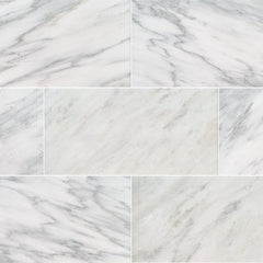 Marble Tile Collection Arabescato Carrara 12"x24" - Polished Swatch