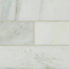 Marble Tile Collection Arabescato Carrara 4"x12" Honed Swatch