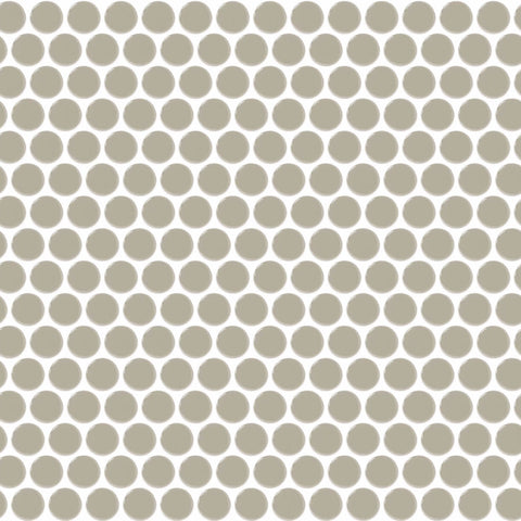 Daltile Color Wheel Mosaic Group 2 Penny Rounds Architectural Gray