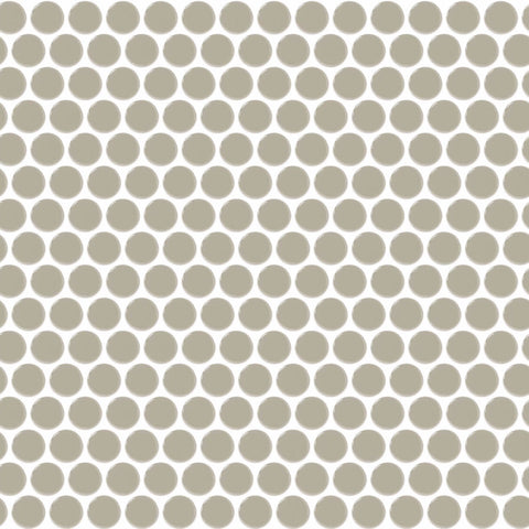 Daltile Color Wheel Mosaic Group 2 Penny Rounds Architectural Gray
