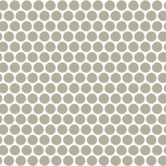 Daltile Color Wheel Mosaic Group 2 Penny Rounds Architectural Gray