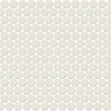 Arctic White