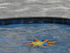 Arterra Porcelain Pool Coping Argento Travertino - 13"x24" Outdoor Scene