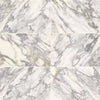 Daltile Eclessia Marble Rectangle Honed 12"x24" Arabescato Argento