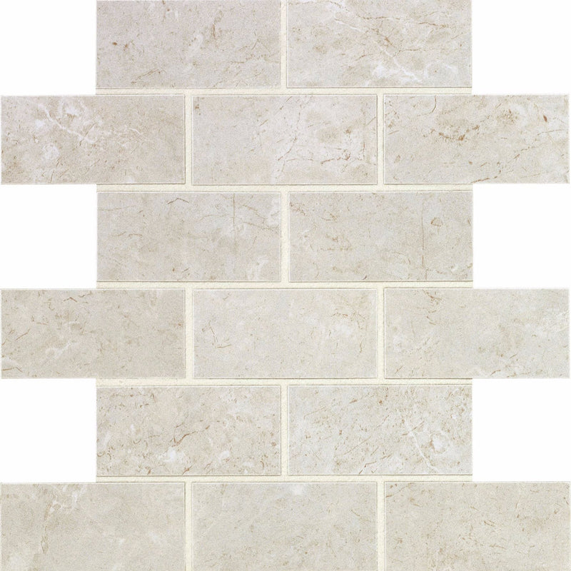 Daltile Florentine Mosaic 2x4