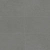 Daltile Calgary Rectangle 12x24 Polished Armor
