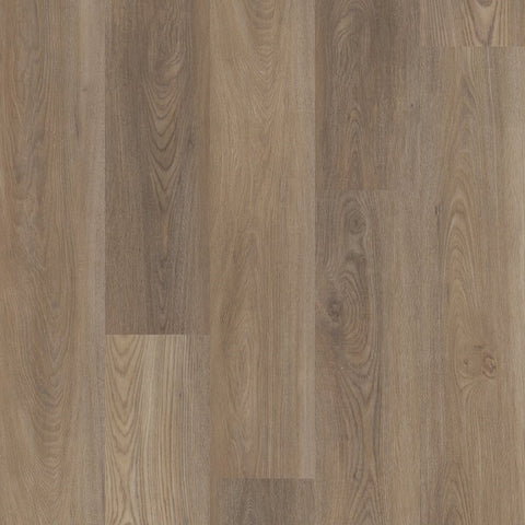 Shaw Distinction Plus Ash Oak Swatch