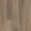 Shaw Distinction Plus Ash Oak Swatch