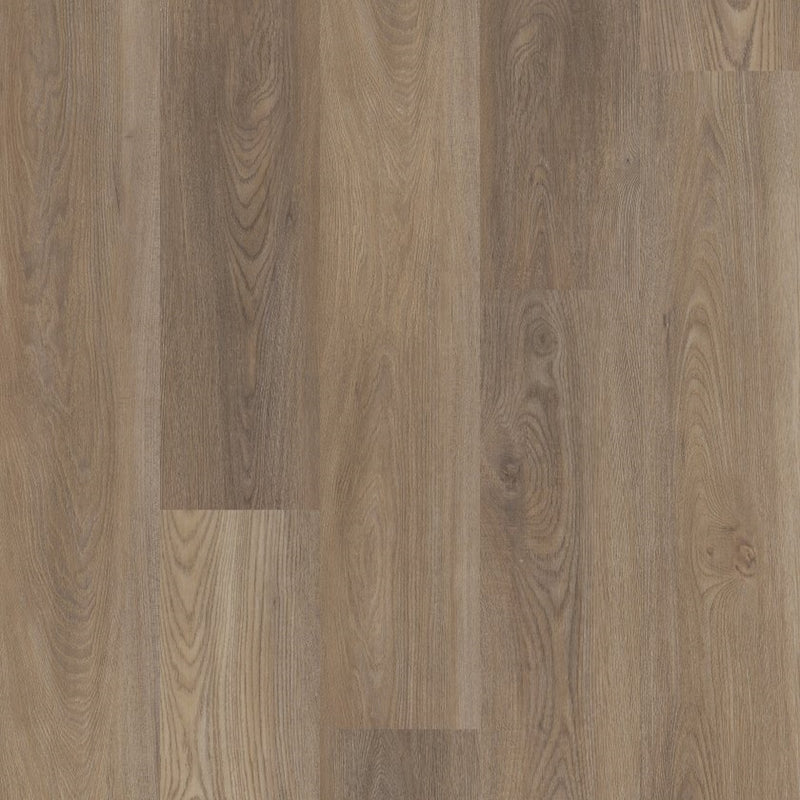 Shaw Distinction Plus Ash Oak