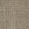 Shaw Carpet Tile Raw Beauty Astute Swatch