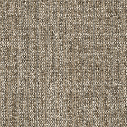 Shaw Carpet Tile Raw Beauty Astute Swatch