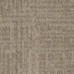 Shaw Carpet Tile Raw Beauty Astute Swatch