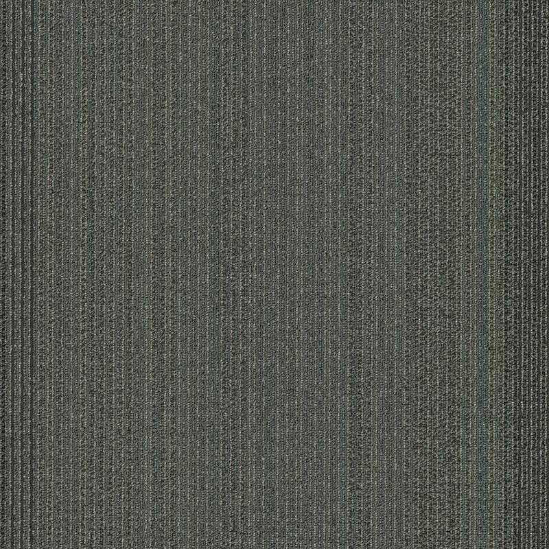 Shaw Carpet Tile Practical Astute