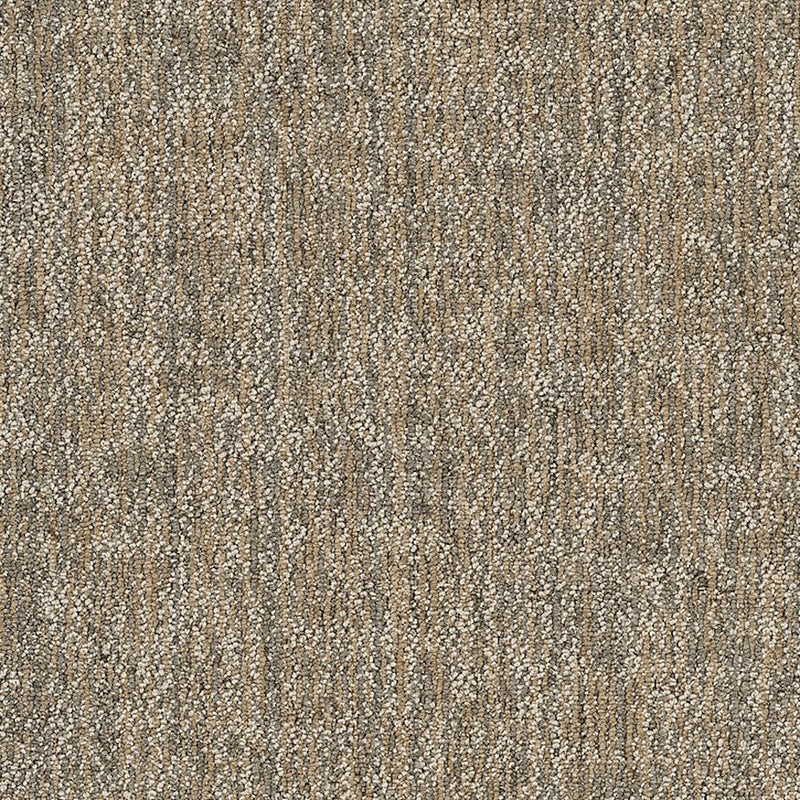 Shaw Carpet Tile Crazy Smart Astute
