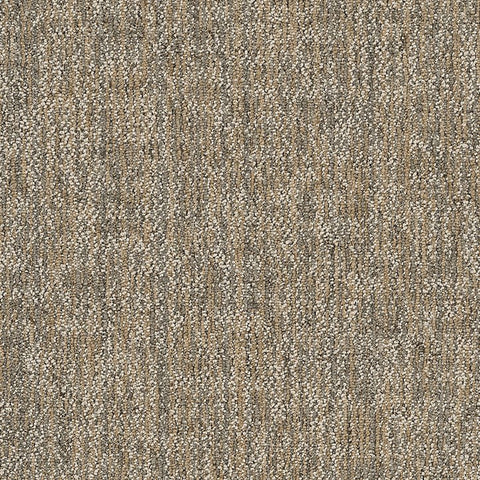 Shaw Carpet Tile Crazy Smart Astute Swatch