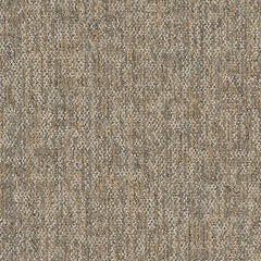 Shaw Carpet Tile Crazy Smart Astute Swatch