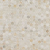 MSI Athena Gold Penny Round - Honed Swatch