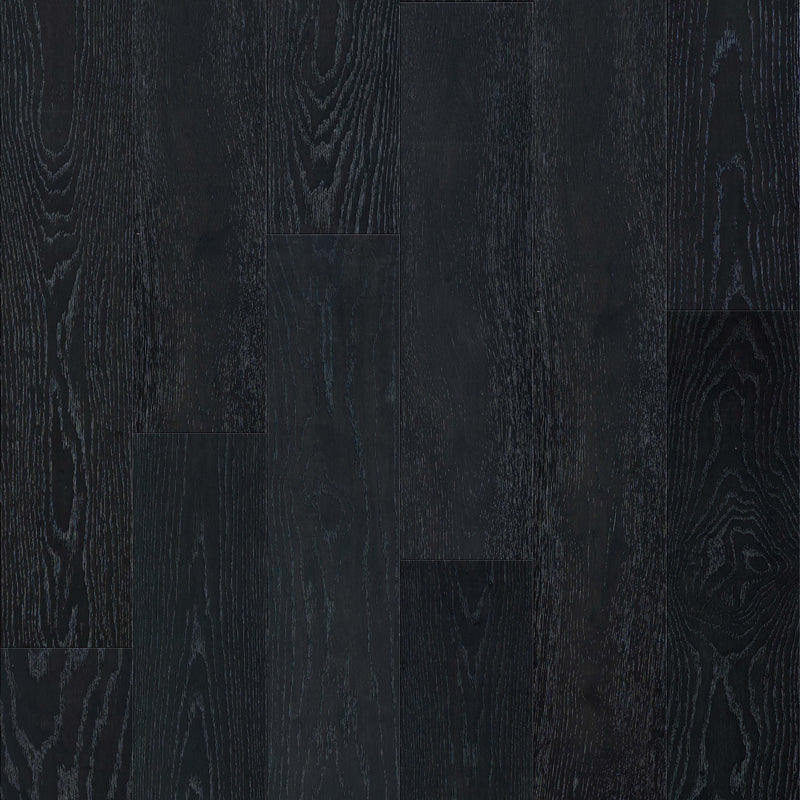 FloorLife European Excursion Auto Sample