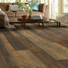 Shaw Floorte Titan HD Plus Platinum Autumn Barnboard