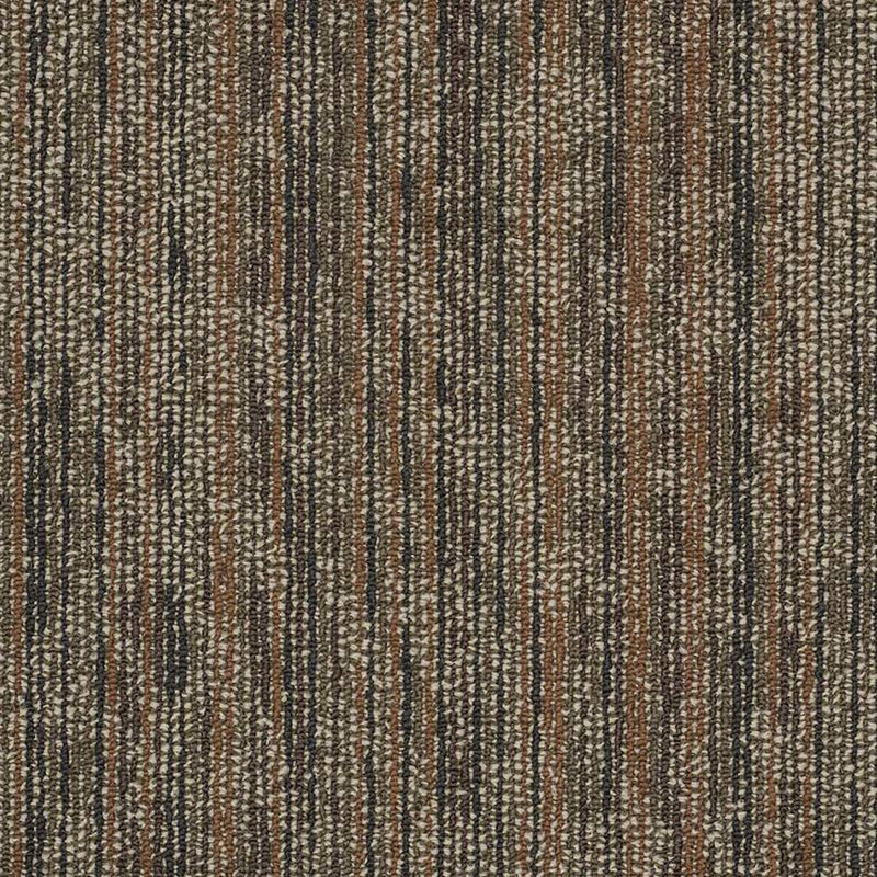 Shaw Carpet Tile Amaze Baffle