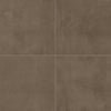 Baritone Brown / 15.20