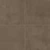 Daltile Chord Rectangle 24x48 Polished Baritone Brown