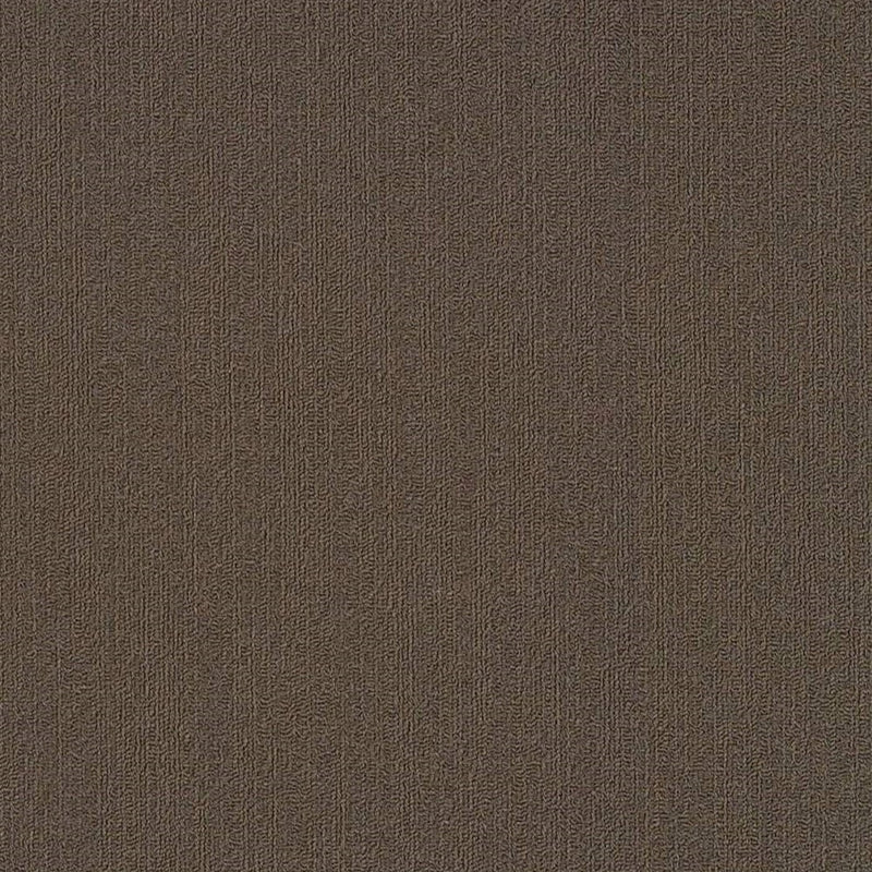 Shaw Carpet Tile Color Accents Bark 18