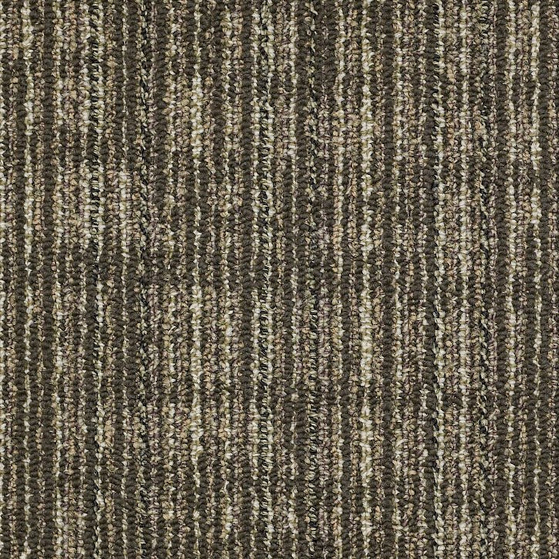 Shaw Carpet Tile Mesh Weave Barley