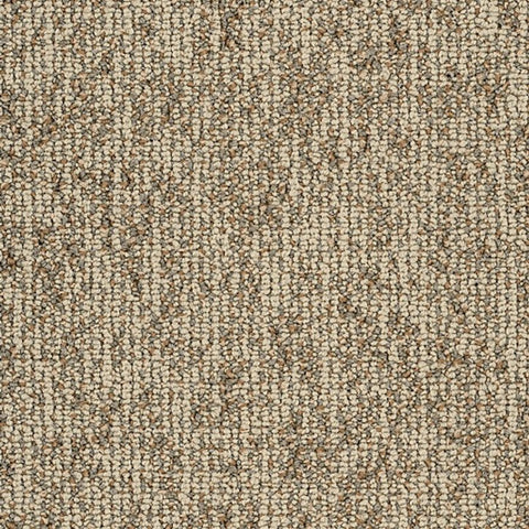 Shaw Carpet Tile Basin Dunes Swatch