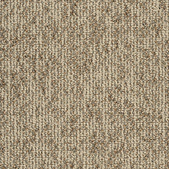 Shaw Carpet Tile Basin Dunes Swatch