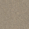 Shaw Carpet Tile Multiplicity Batch Swatch
