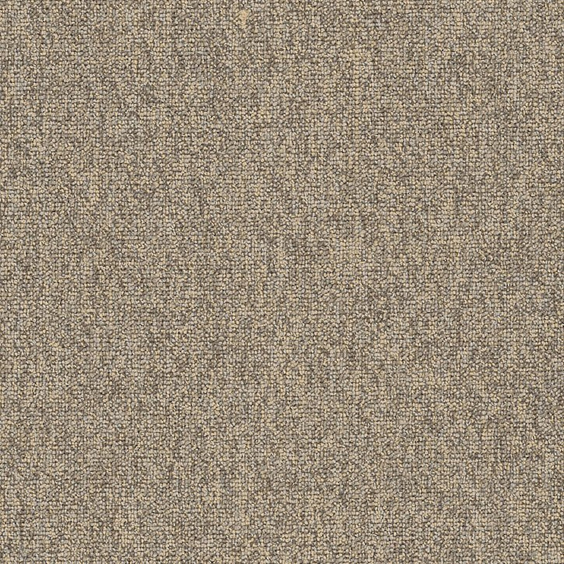 Shaw Carpet Tile Multiplicity Batch