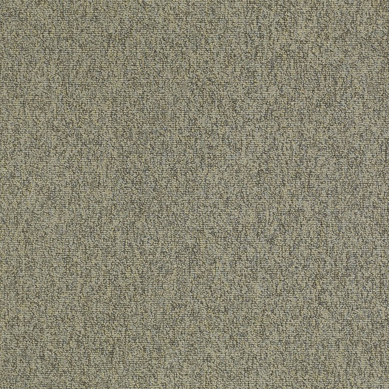 Shaw Carpet Tile Multiplicity Batch 24”