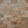 Paramount Tile Recovery Stone Beige 2" x 10"