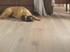 Shaw Exquisite Waterproof Hardwood Floorte Beiged Hickory Room Scene
