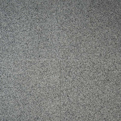Granite Tile Collection Bianco Catalina - 12"x12" Swatch